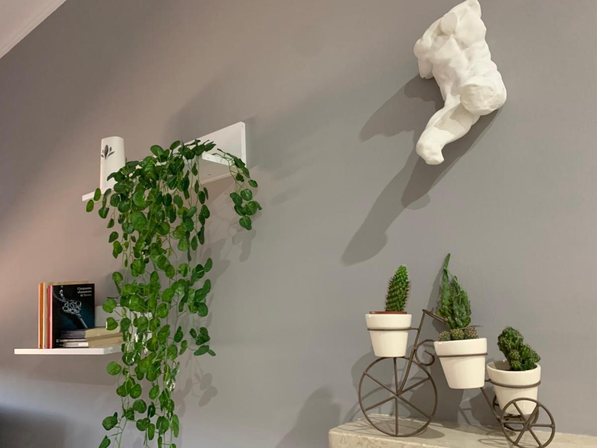 “L' Angolo Dei Sogni” Apartment Casale Monferrato Eksteriør billede